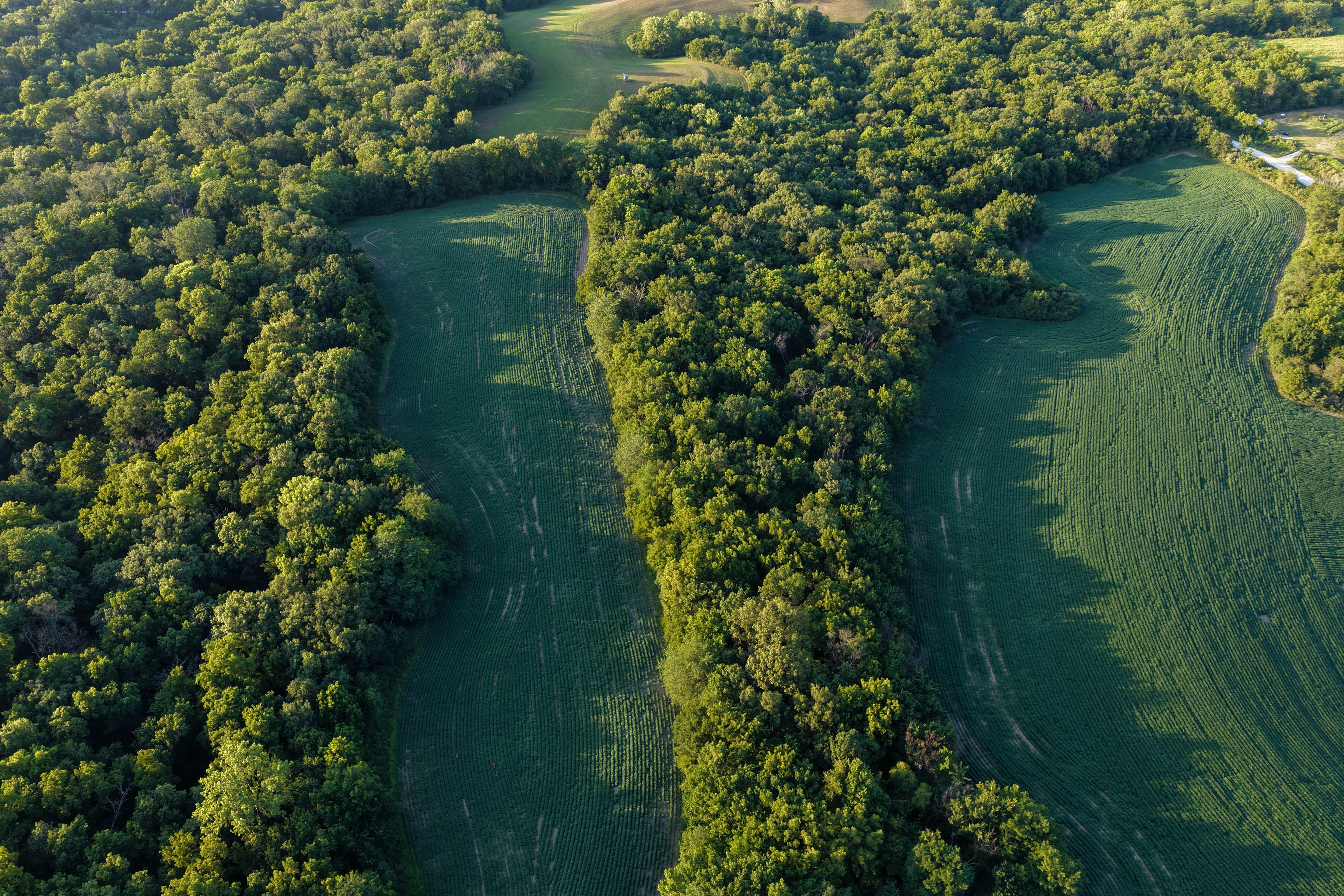 Listing Photo: Whitetail Hunting Farm Mahaska County Iowa-152